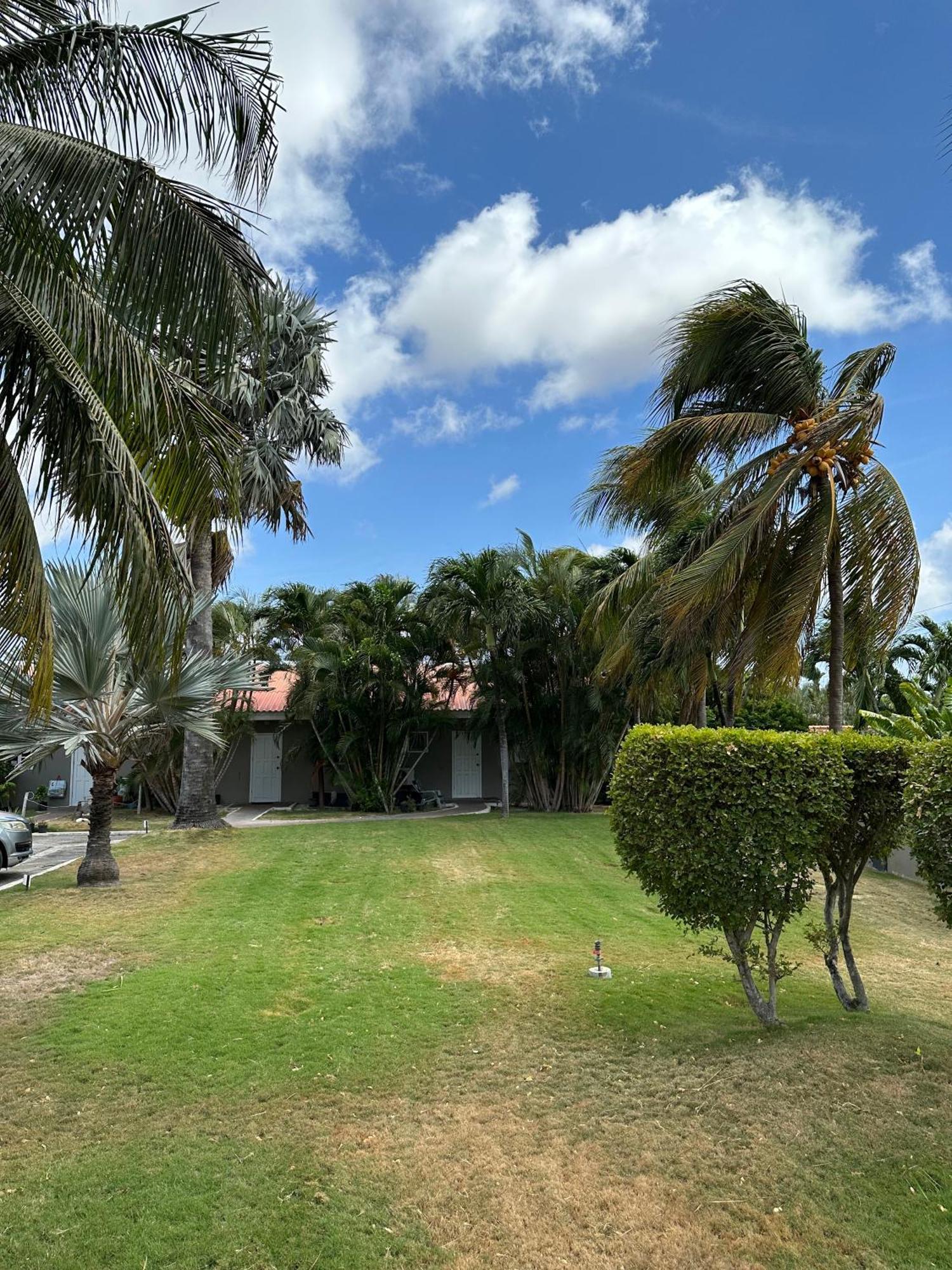 Windmill Apartments Curacao Willemstad Exterior foto